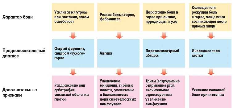 Правила применения шалфея во время беременности