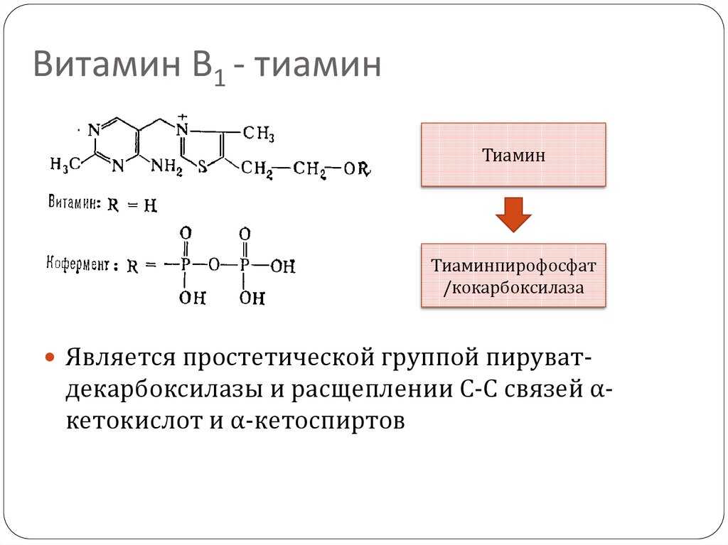 Витамин b3 – зачем, кому и когда нужен