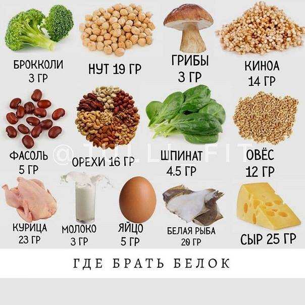 Белки: что такое и в каких продуктах содержатся