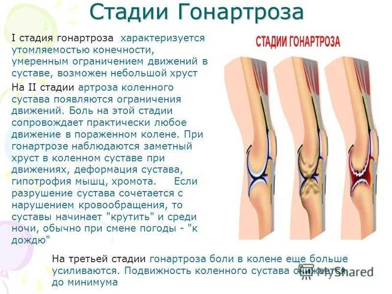 В ТикТоке настоящая буря по поводу нового челленджа, справиться с которым под силу лишь девушкам Но парни не теряют надежды взять реванш