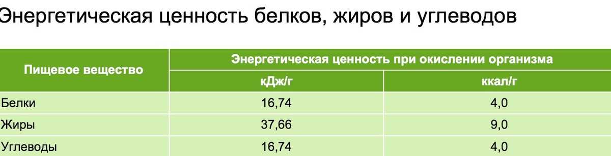 Баланс белка и углеводов