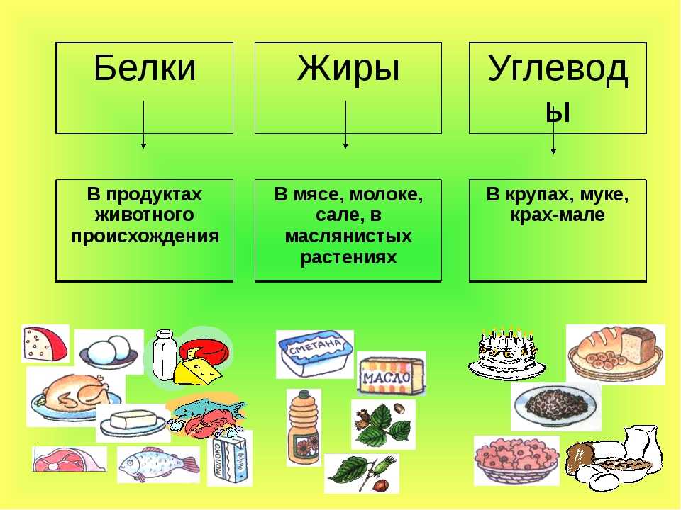 Высокобелковая диета для похудения: меню на неделю | food and health