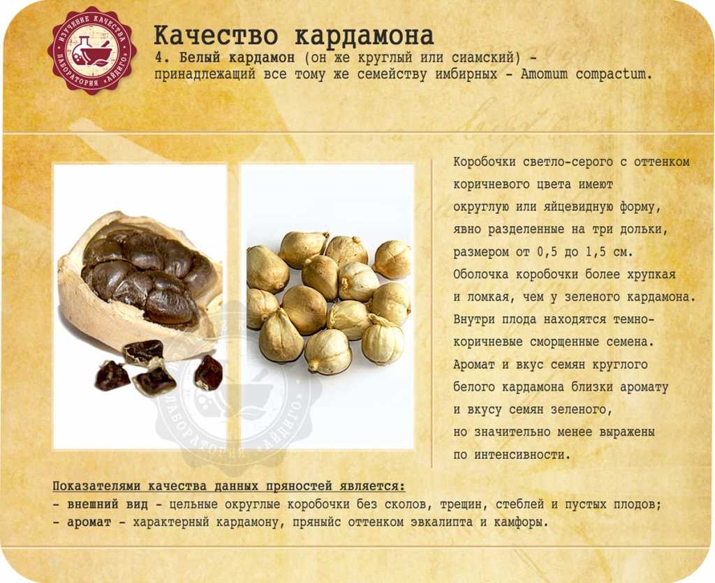 Всё про кардамон: что это, применение в кулинарии, чем заменить