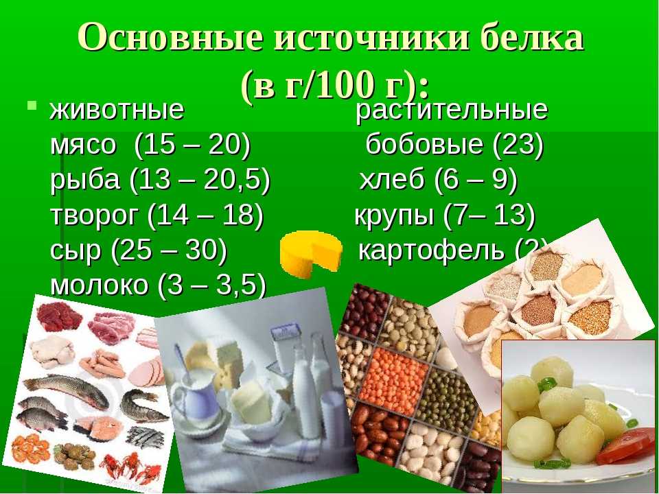 Источники белков фото