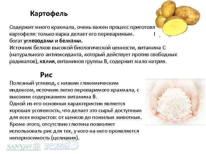 Маска белок крахмал отзывы. Картофель углеводы. Картошка это сложный углевод. Содержание углеводов в картофеле. Картофель это сложный углевод или простой.