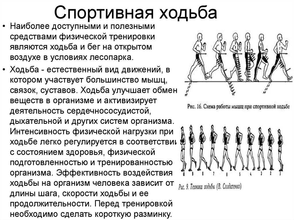 Спортивная ходьба. техника спортивной ходьбы :: syl.ru