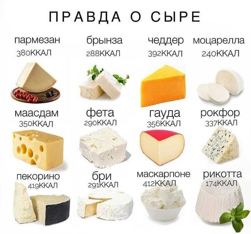 Пищевая ценность твердого сыра