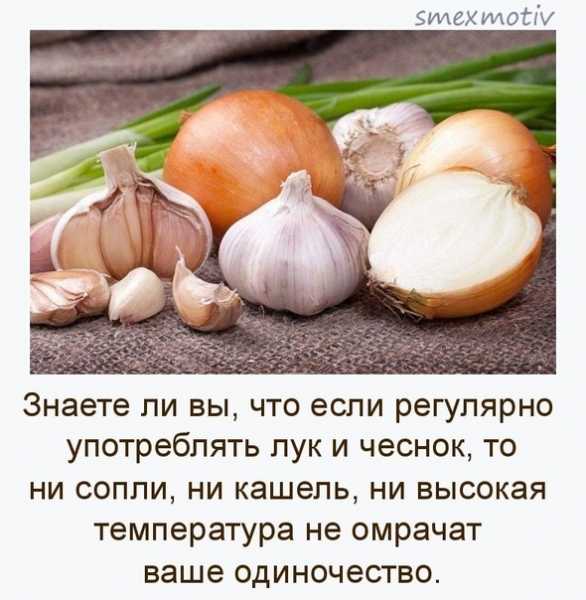 С какого возраста можно давать ребенку лук: репчатый, вареный и сырой