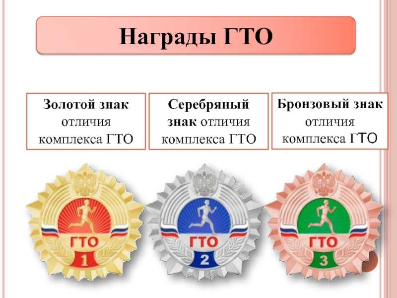 Как сдают нормы гто в российских школах: процесс регистрации и сдача нормативов