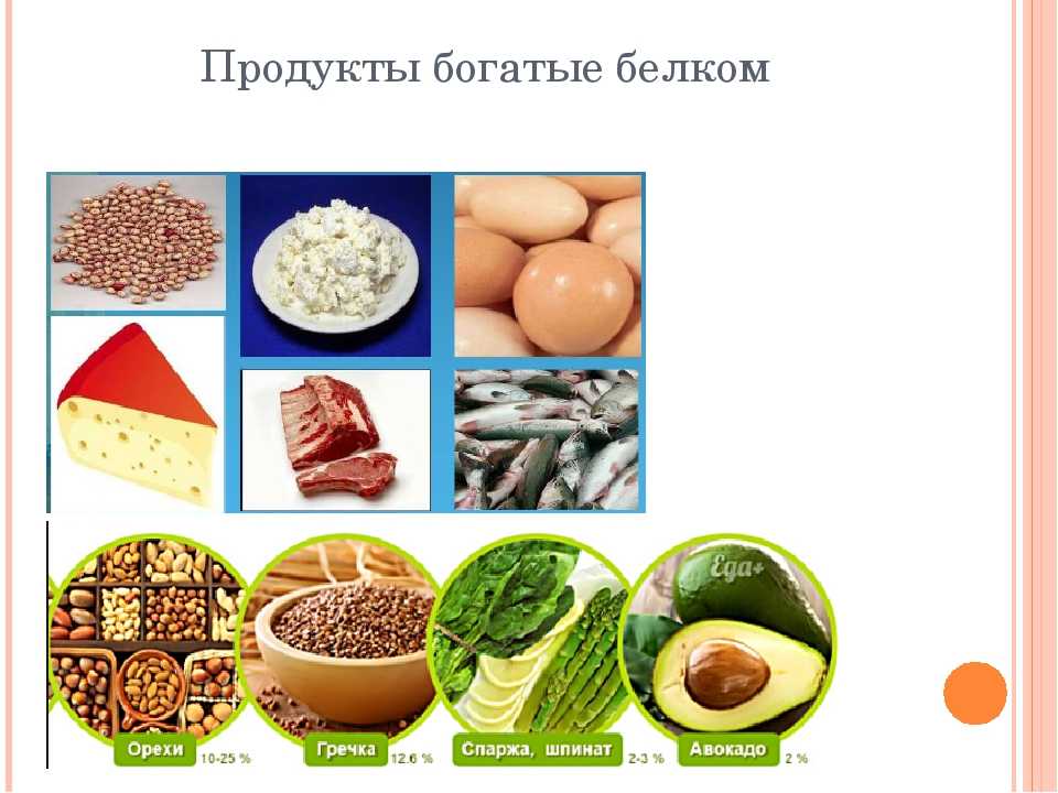Продукты относящиеся к белковой пище