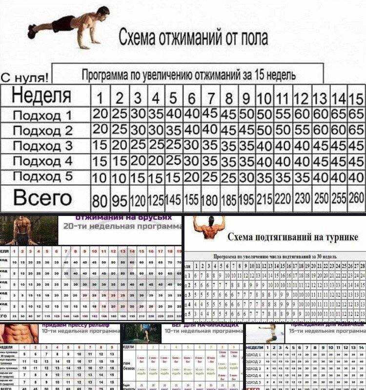 Программа отжиманий от пола