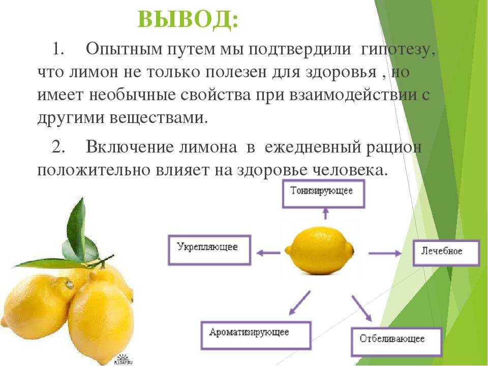 Можно ли лимонной. Лимон характеристика плода. Лимон для презентации. Презентация про лимон для дошкольников. Сообщение о лимоне.