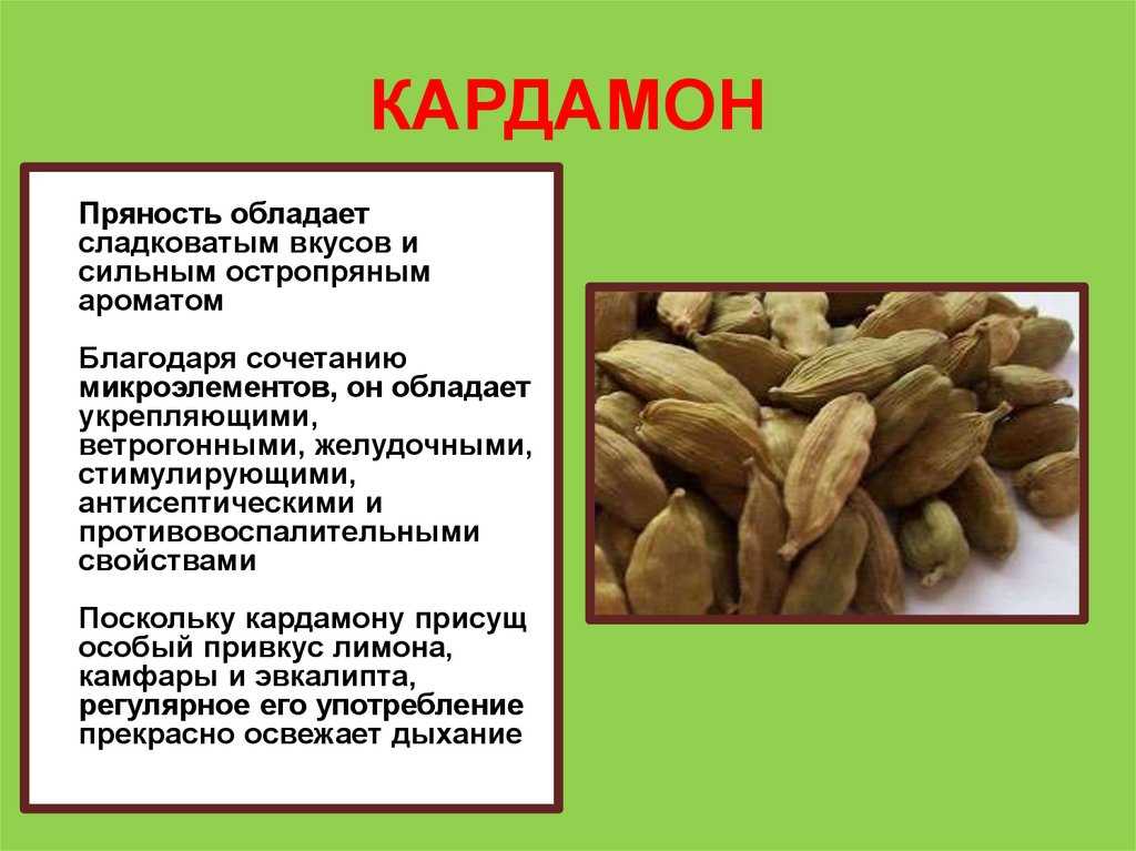 Нут (турецкий горох): польза и вред растения | food and health