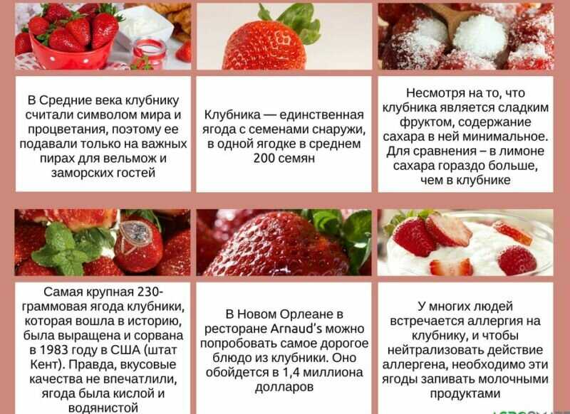 Клубничная диета для похудения: отзывы, меню на клубнике минус 4 кг за 4 дня