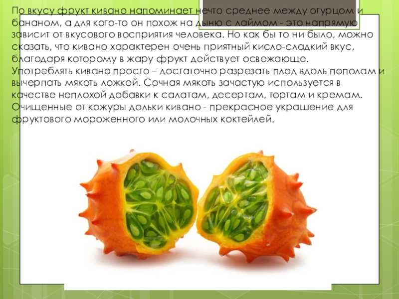 Кивано - это тропический плод, который большинство людей из-за его экзотичных вида и вкуса считают фруктом В действительности это овощ, являющийся близким родственником огурца Другие его названия - зеленый дракон, рогатая дыня и тд Сейчас выведено немало