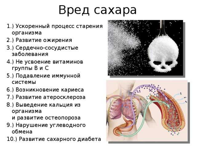 Школа диабета — фрукты и овощи при сахарном диабете: какие можно и нельзя
