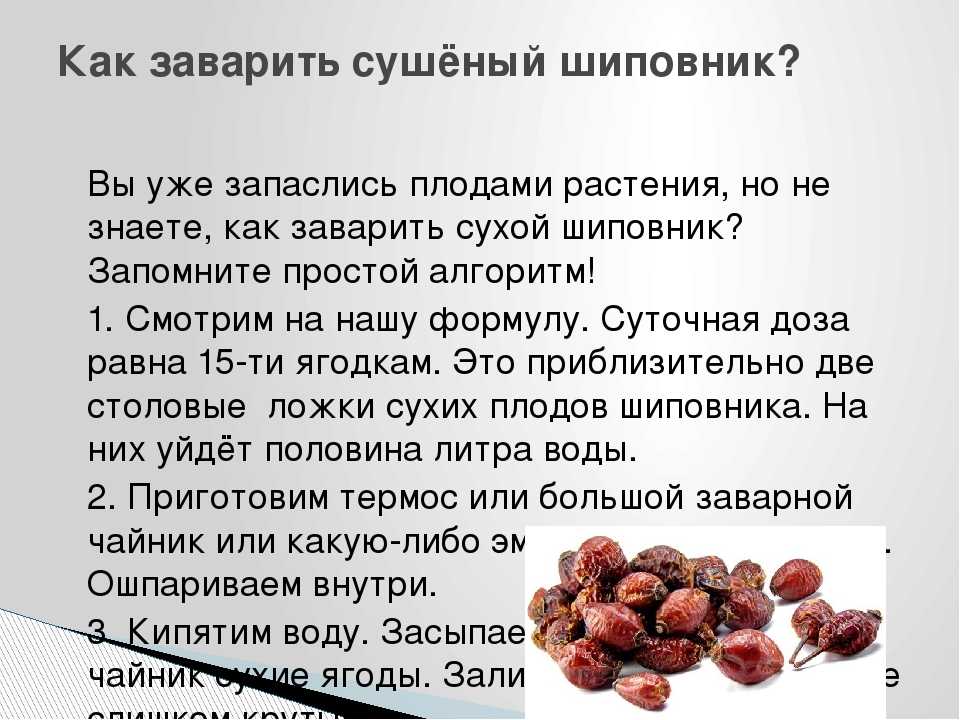 Шиповник для детей: польза и рецепты для укрепления иммунитета