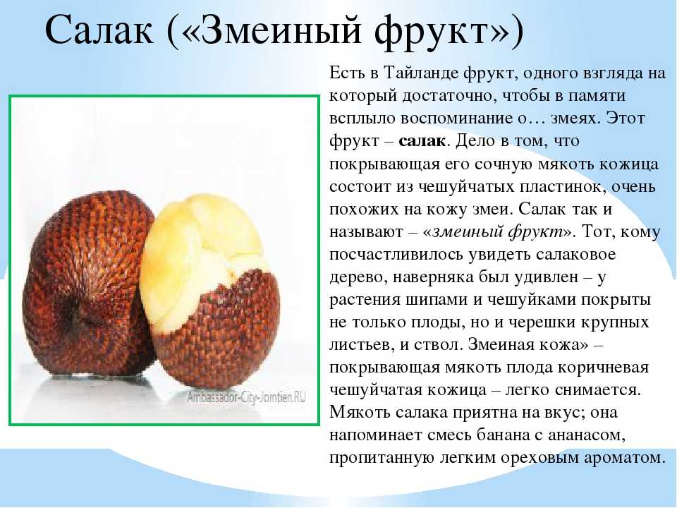 Салакка - калорийность, полезные свойства, польза и вред, описание