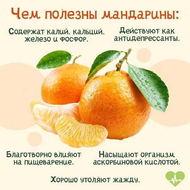 Мандарины – состав, полезные свойства и вред для здоровья