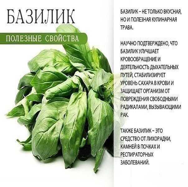 Калорийность сушеного, бжу сушеных продуктов на 100 грамм