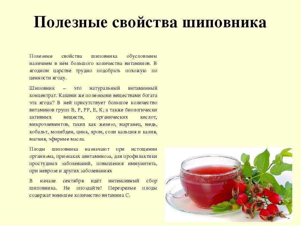 Компот из шиповника - 9 рецептов полезного напитка для дома
