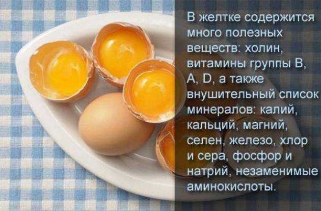Сколько грамм белка в курином яйце (сыром, вареном, жареном)?