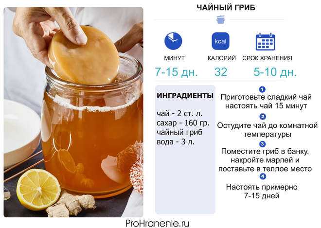 Чайный гриб для похудения: рецепты для домашнего приготовления