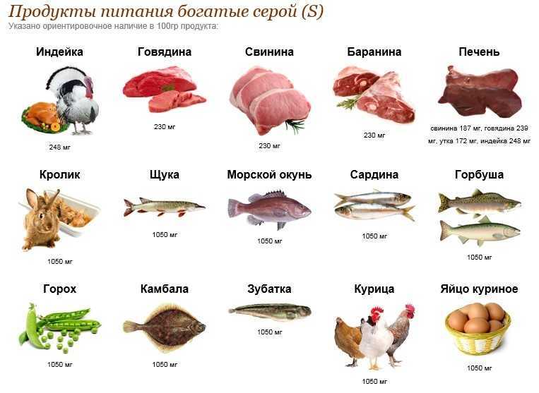 В каких продуктах содержится сера, где ее больше всего, чем опасен дефицит элемента?