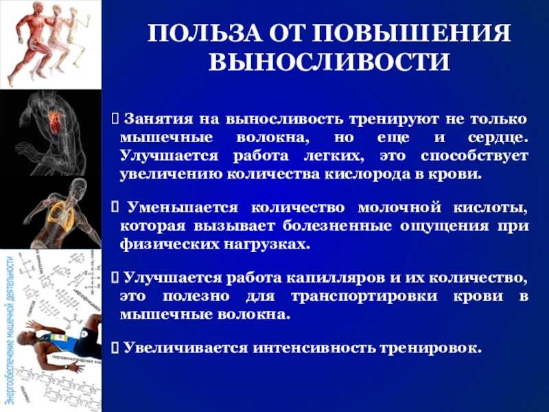 Выносливость в футболе: виды, упражнения на развитие