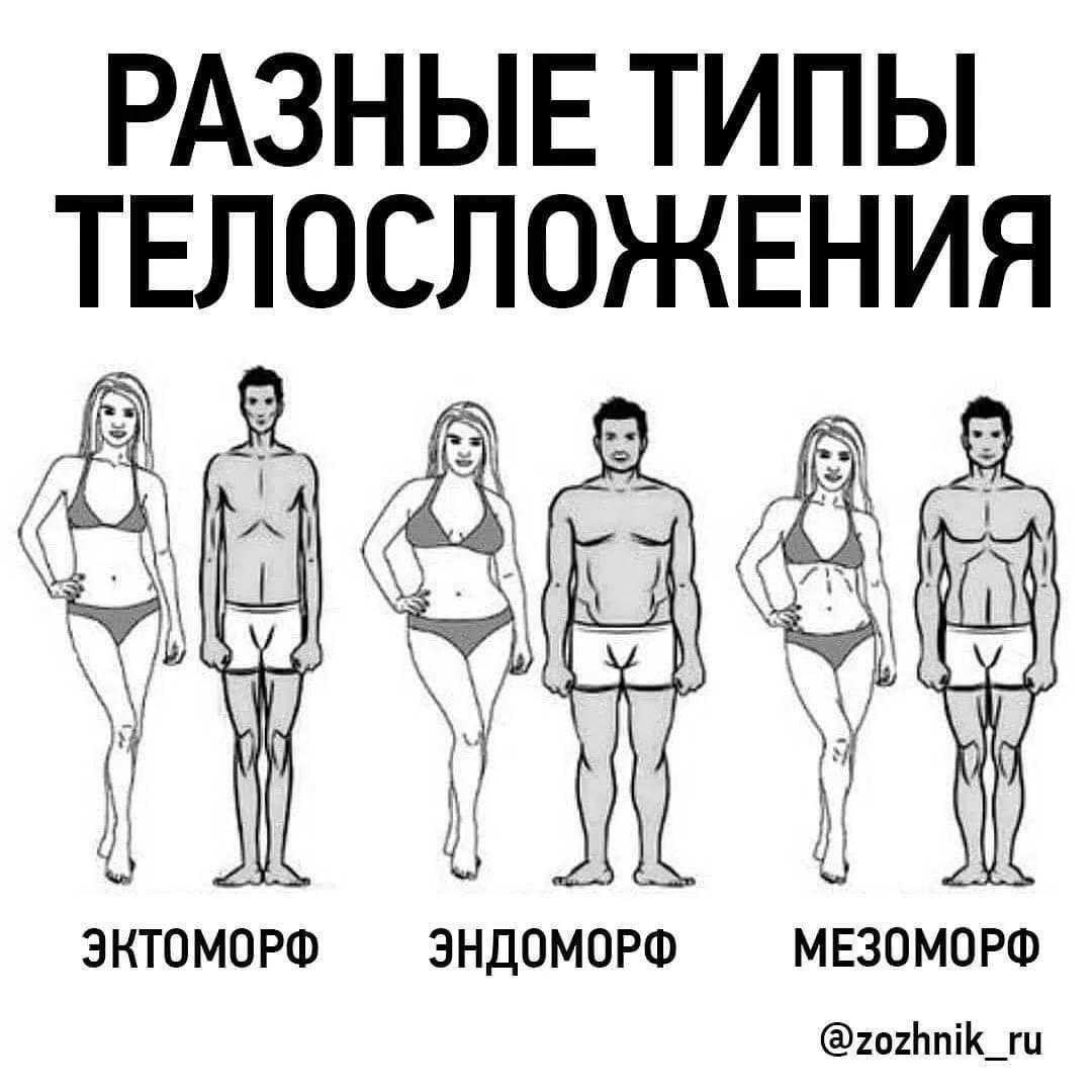 Тип телосложения, называемый гиперстеническим, - разновидность фигуры, которой присущ мощный скелет и развитые мышцы Особенности конституции тела человека заложены генетически Они накладывают отпечаток на темперамент индивида, его личностные качества, ман