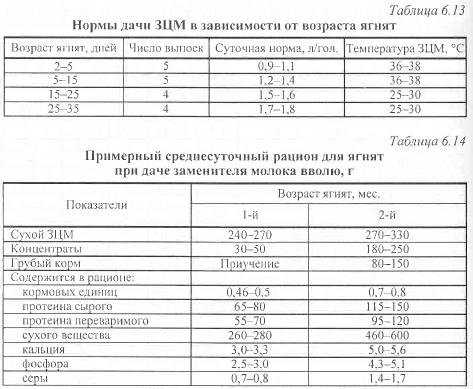 Сухое молоко для набора мышечной массы: как употреблять