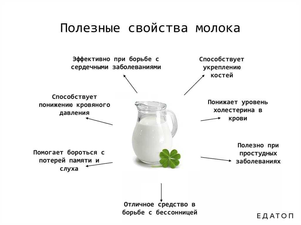 Бжу сыра: белки, жиры, углеводы, калорийность, химический состав