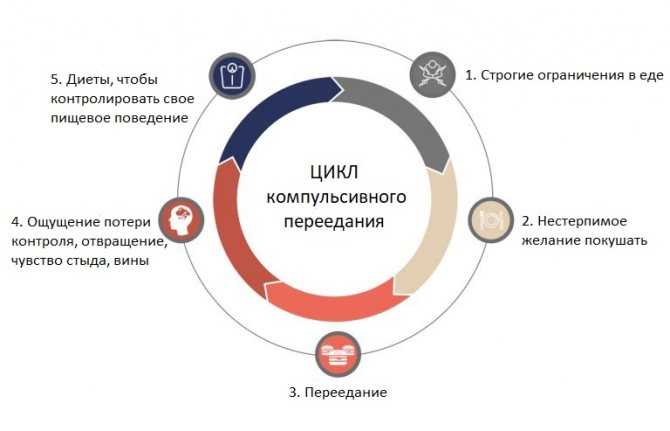 Режим питания: когда, сколько и зачем кушать