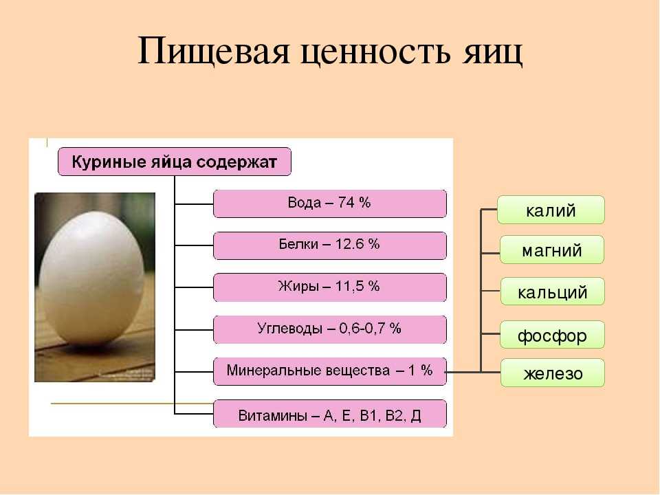 Таблица калорийности продуктов