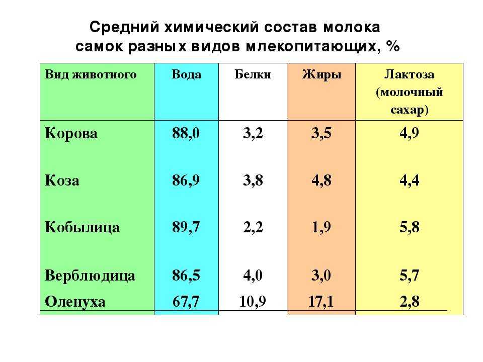 Молоко