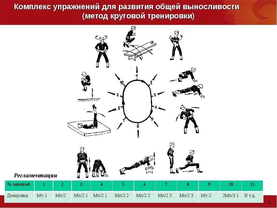 Упражнения на выносливость картинки