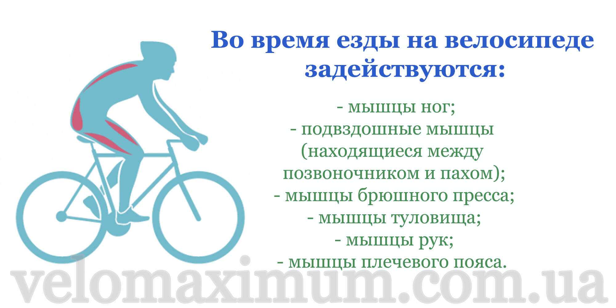 Как правильно кататься на велосипеде, если вам за 60