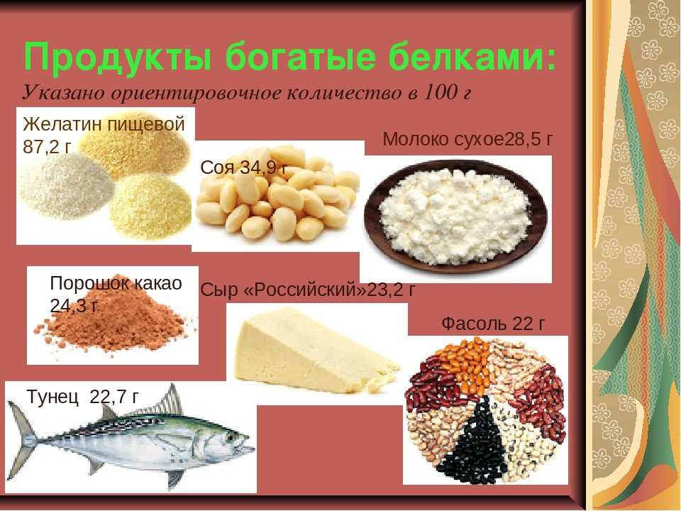 Продукты содержащие белок: таблицы количества содержания белка в разных продуктах питания