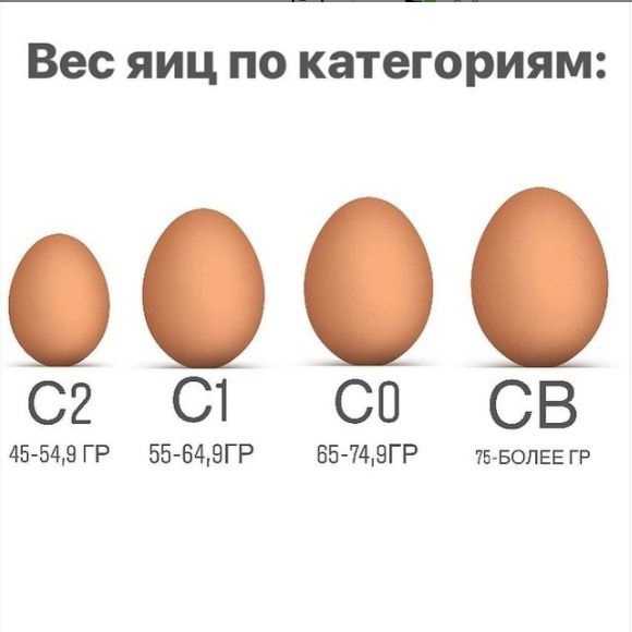 Сколько калорий в яйце в 1шт и на 100 гр вареном, сыром, жареном, отдельно желтке и белке, всмятку и вкрутую, омлете, на масле