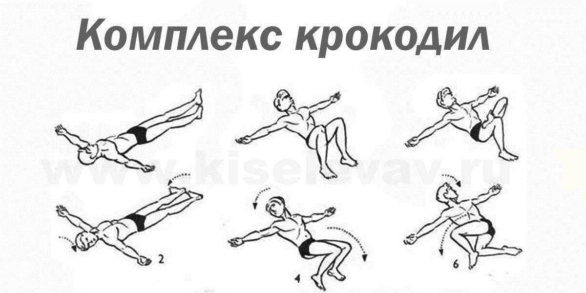 Комплекс упражнений «крокодил» для спины и позвоночника доктора антипко — 12 шагов