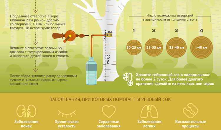 Полезен ли березовый сок при диабете