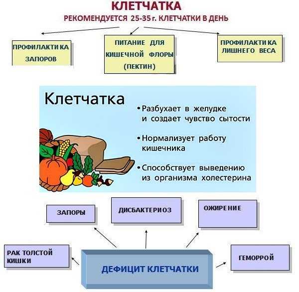 Клетчатка: польза для организма, в каких продуктах содержится
