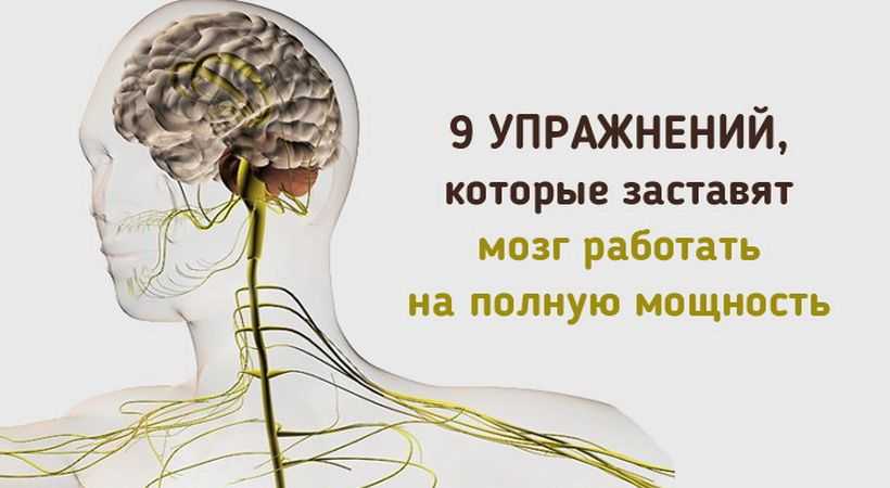 Жиросжигающая тренировка: 5 комплексов упражнений для сжигания жира для мужчин и женщин