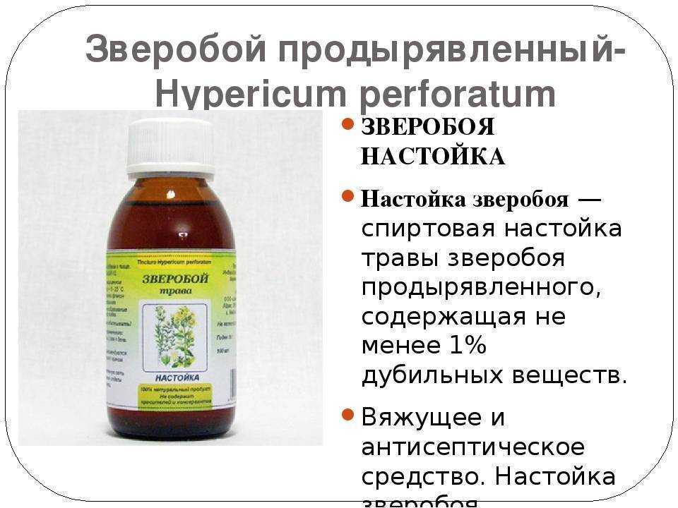 Масло зверобоя — свойства и применение. как сделать масло зверобоя в домашних условиях