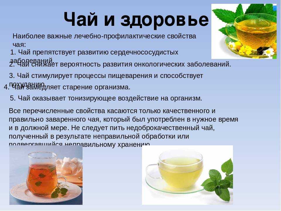 Минтай – химический состав рыбы, польза и вред для организма