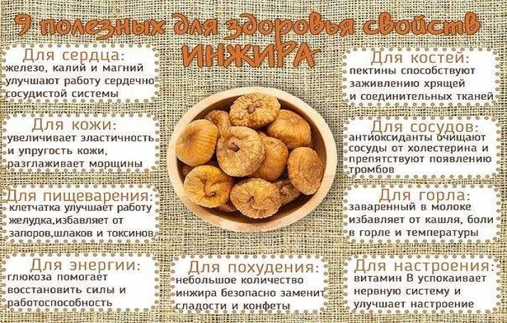 Инжир: польза и вред для организма, сколько нужно съесть