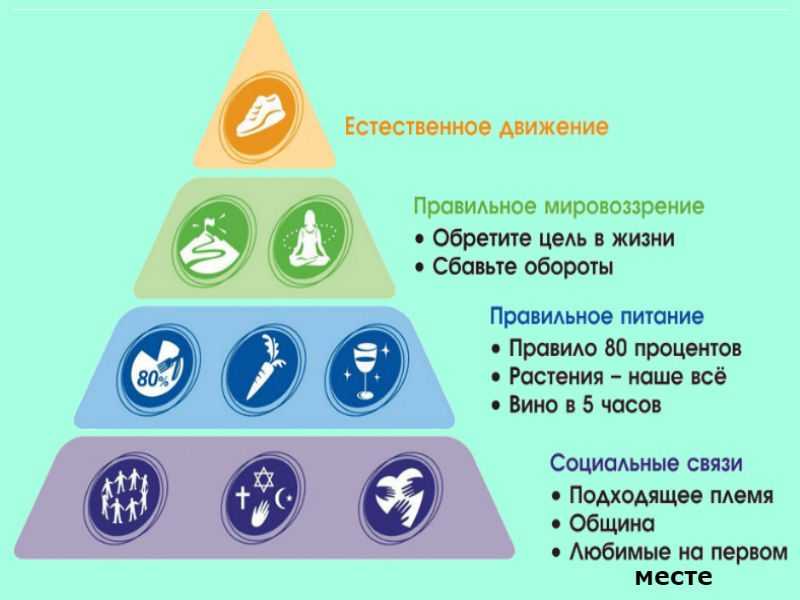 Проект рецепт долголетия