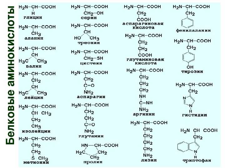 Тест аминокислоты 10 класс химия. Таблица 20 аминокислот химия. Химия 10 класс Амины аминокислоты. 20 Аминокислоты химия формулы. Аминокислоты таблица ЕГЭ химия.