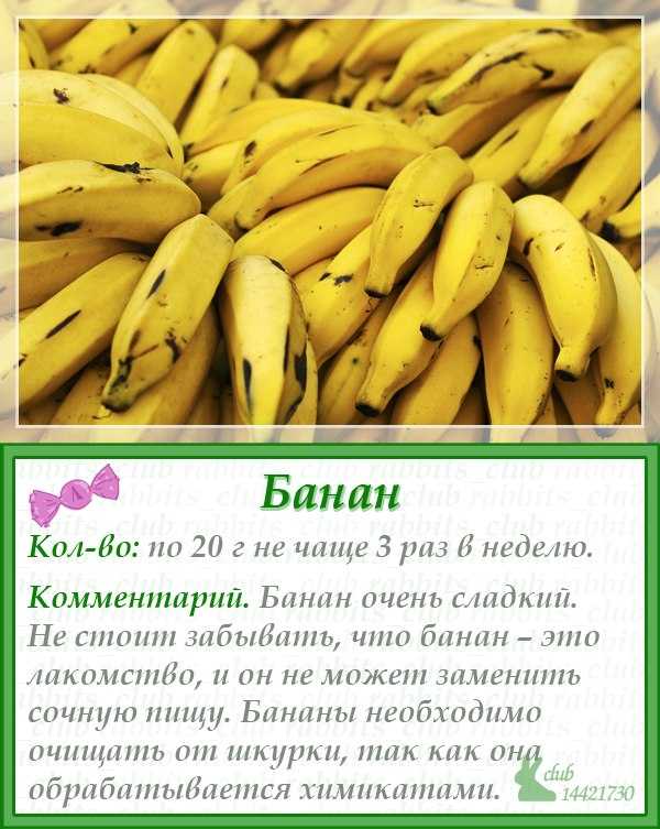 Банан с какого возраста можно давать ребенку. Банан для прикорма ребенка 6 месяцев. С какого возраста можно давать ребёнку банан. Со месяцев можно давать банан. Банан с какого возраста.