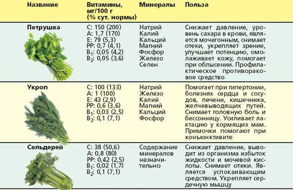 Что содержится в укропе и в салате